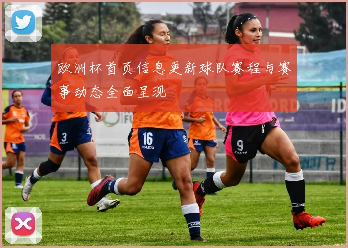 欧洲杯首页信息更新球队赛程与赛事动态全面呈现
