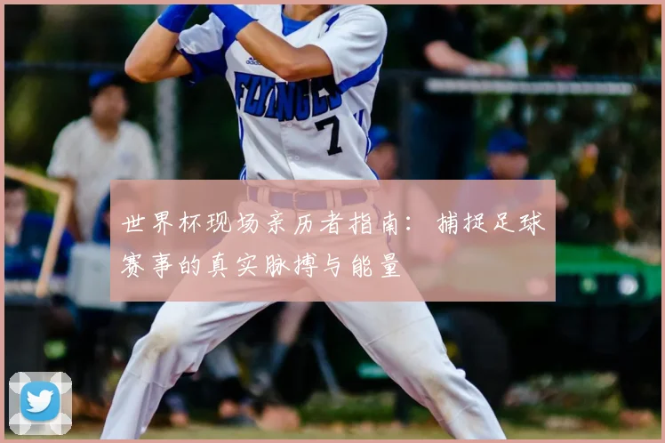 世界杯现场亲历者指南：捕捉足球赛事的真实脉搏与能量